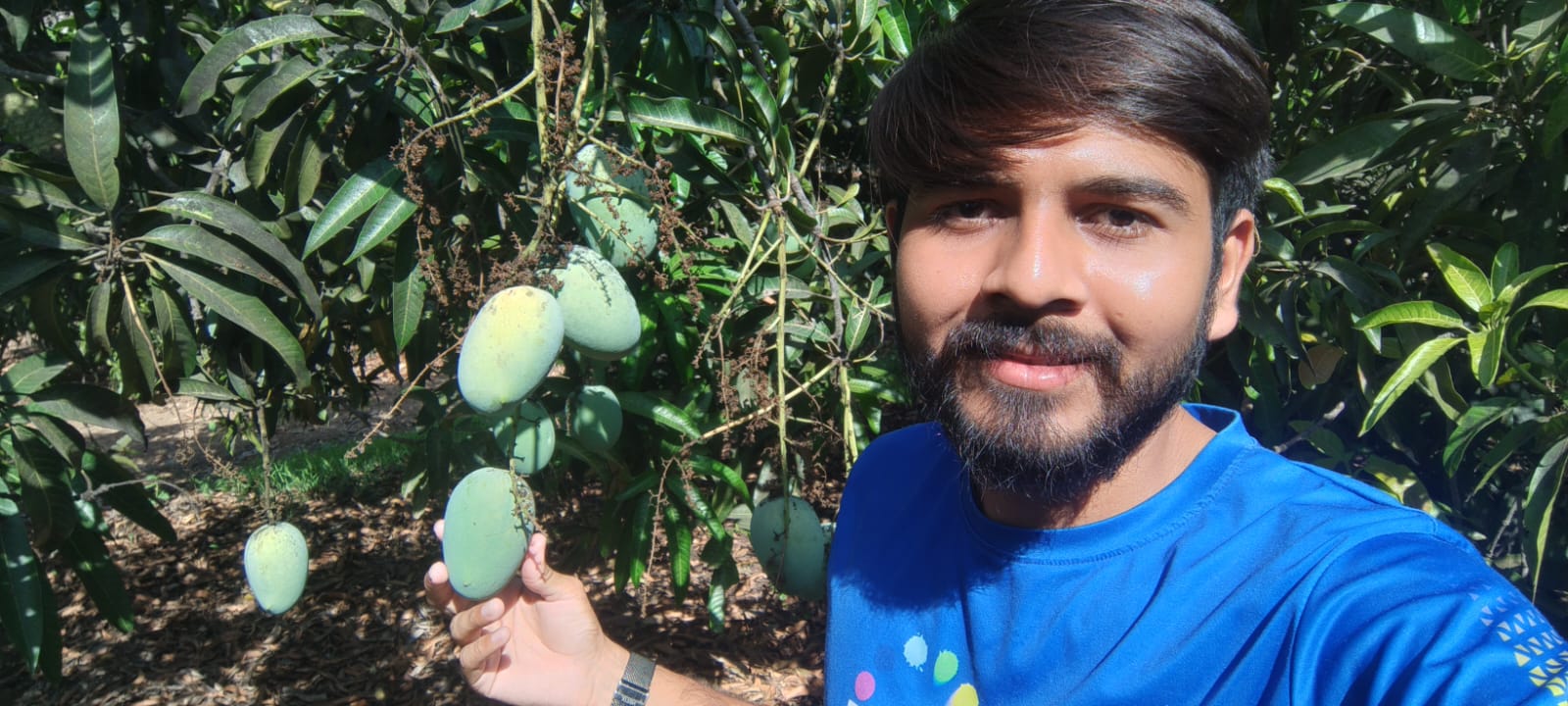 Gir Amrut Kesar Farms owner with Kesar mangoes